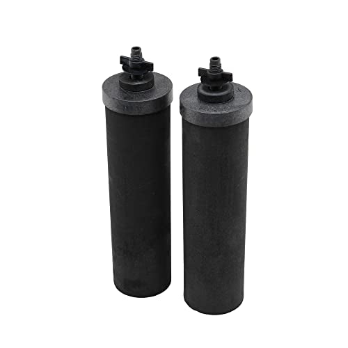 Berkey Light Gravity-Fed Water Filter with 2 Black Berkey Elements and 2 Berkey PF-2 Fluoride and Arsenic Reduction Elements