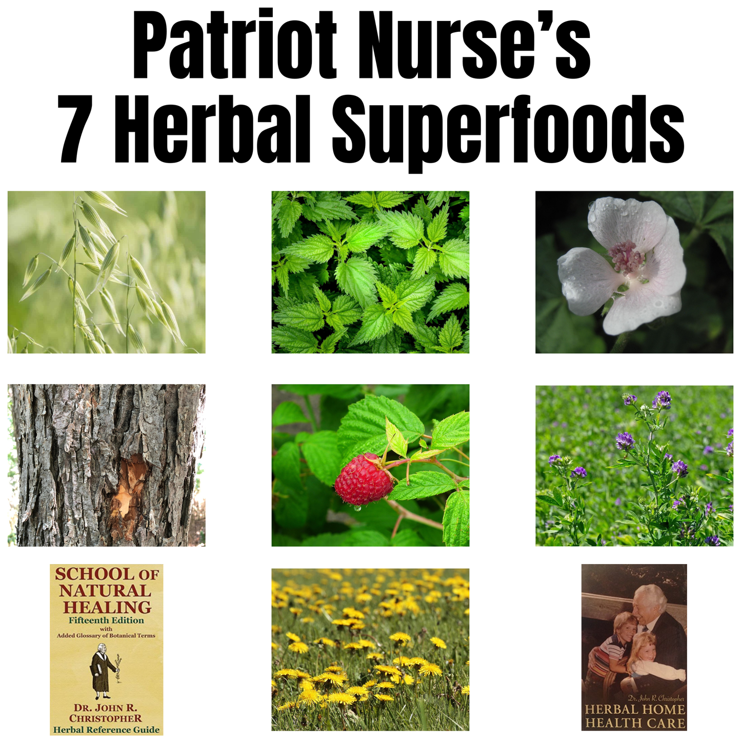 Patriot Nurse's 7 Herbal Superfoods Bundle