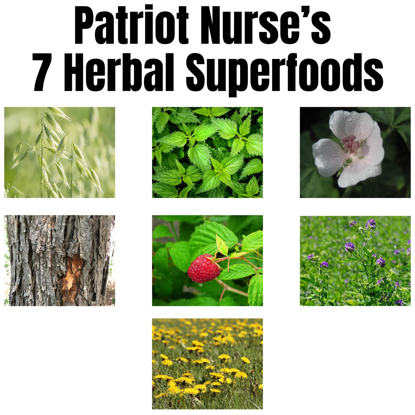 Patriot Nurse's 7 Herbal Superfoods Bundle